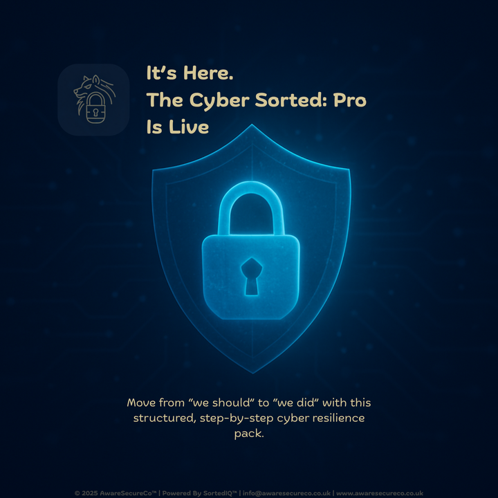 Cyber Sorted: Pro Is Live - Finally Get Your Business Cyber Secure